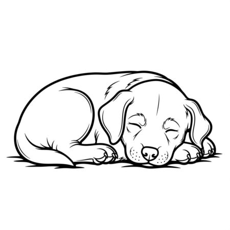 Cachorrinho Kawaii Dormindo (Desenho para Colorir)