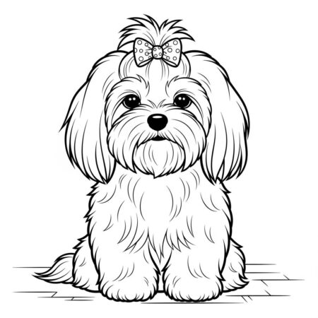 Cachorro Maltes (Desenho para Colorir)