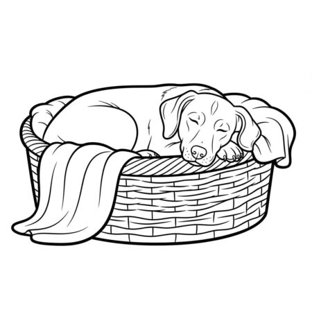 Cachorro em um Cesto (Desenho para Colorir)