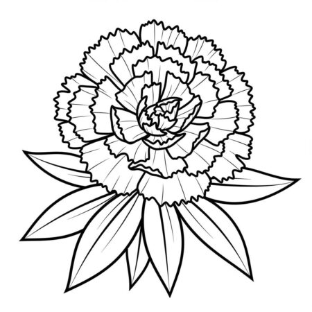 Flor de Cravo (Desenho para Colorir)