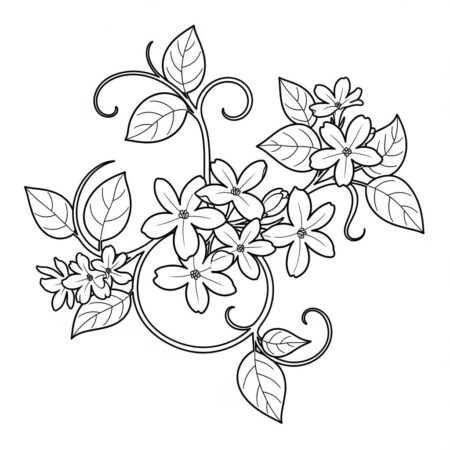 Flor de Jasmim (Desenho para Colorir)