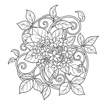 Flor de Jasmim (Desenho para Colorir)