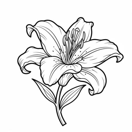 Flor de Lirio (Desenho para Colorir)