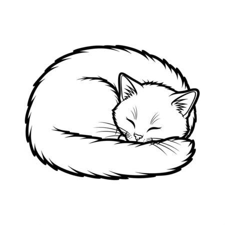 Gato Fofo Dormindo (Desenho para Colorir)