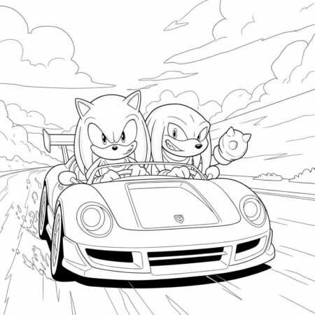 Sonic e Knuckles em um Carro (Desenho para Colorir)