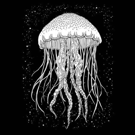 Agua viva e Luzes (Desenho para Colorir)