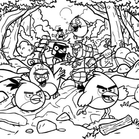 Angry Birds Aventuras (Desenho para Colorir)