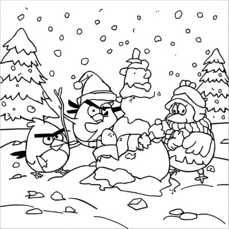 Angry Birds Inverno (Desenho para Colorir)