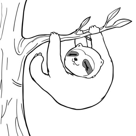 Bicho Preguica Kawaii (Desenho para Colorir)