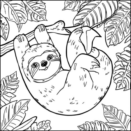 Bicho preguica Para Meninos (Desenho para Colorir)