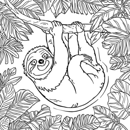 Bicho preguica divertido Para Meninas (Desenho para Colorir)