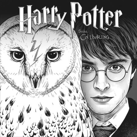 Capa do Livro Harry Potter (Desenho para Colorir)