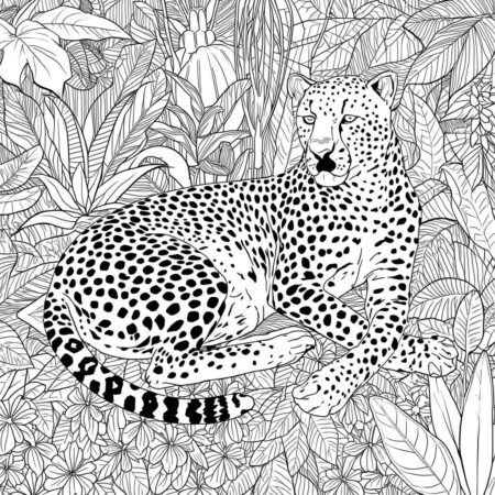 Chita Bonita na Floresta (Desenho para Colorir)