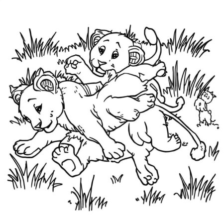 Cubs Brincando (Desenho para Colorir)
