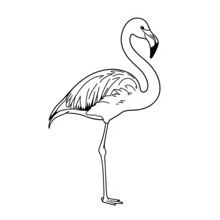 Flamingo Minimalista (Desenho para Colorir)