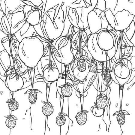 Frutas e Baloes (Desenho para Colorir)