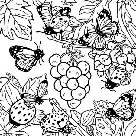 Frutas e Insetos (Desenho para Colorir)