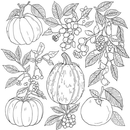 Frutas e Saisons (Desenho para Colorir)