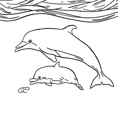 Golfinho e sua Filhote (Desenho para Colorir)