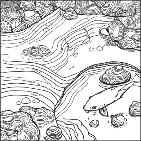 Jardim Zen (Desenho para Colorir)