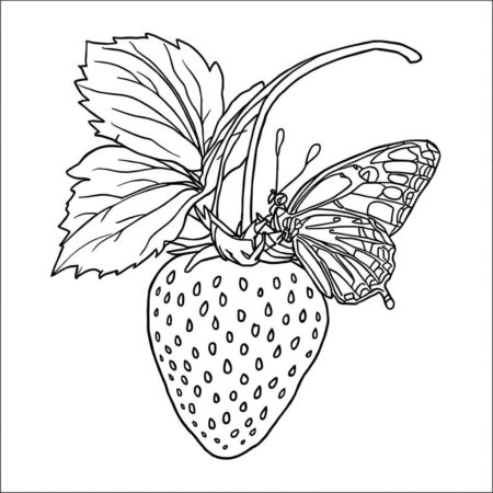 Morango e Borboleta (Desenho para Colorir)