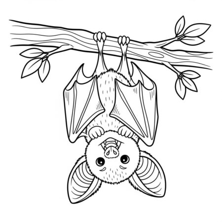 Morcego Fofinho (Desenho para Colorir)