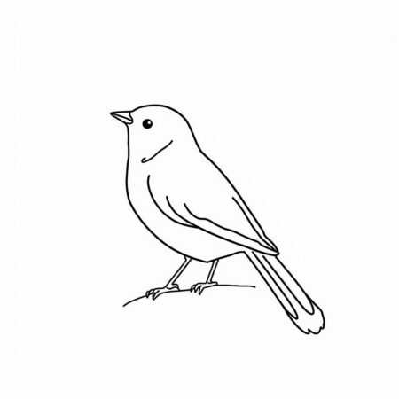 Passaro Minimalista (Desenho para Colorir)