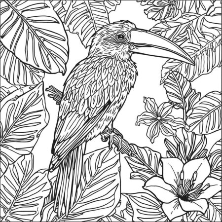 Passaro Tropical Colorido (Desenho para Colorir)