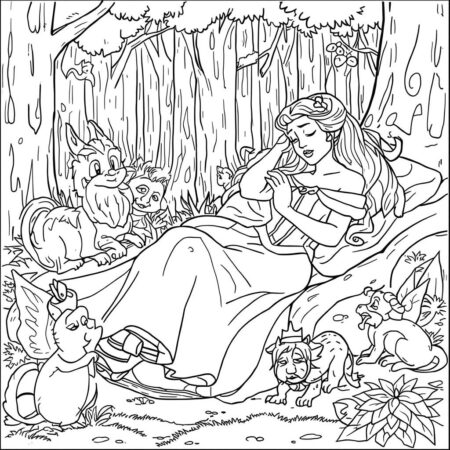 Princesas da Disney Sonhos (Desenho para Colorir)