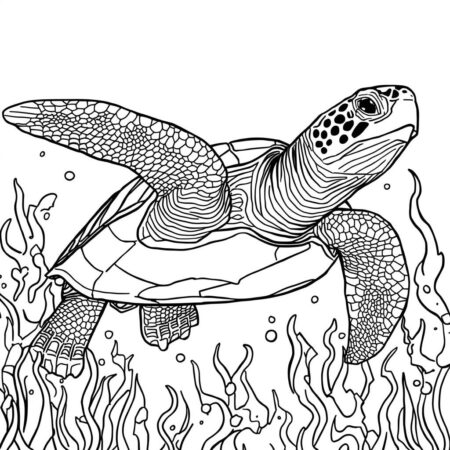 Tartaruga Realista (Desenho para Colorir)