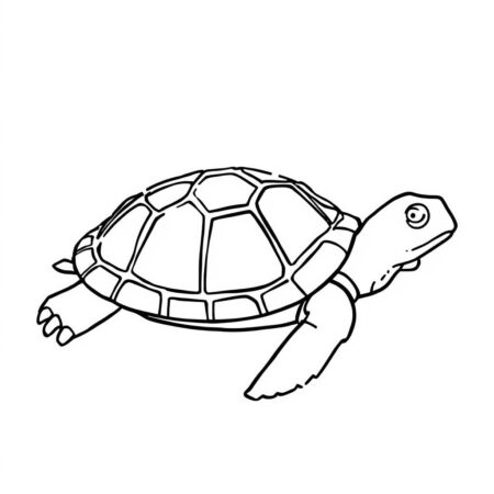 Tartaruga Simples (Desenho para Colorir)