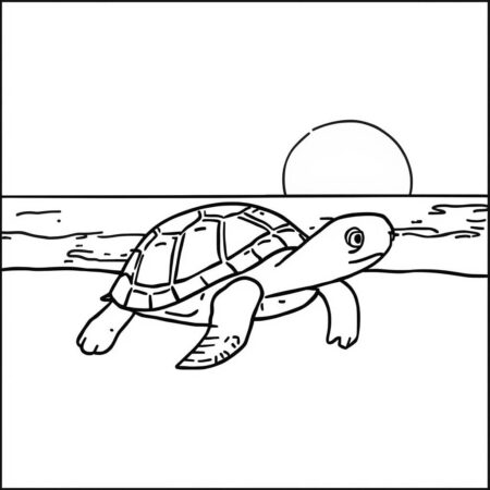 Tartaruga Simples (Desenho para Colorir)