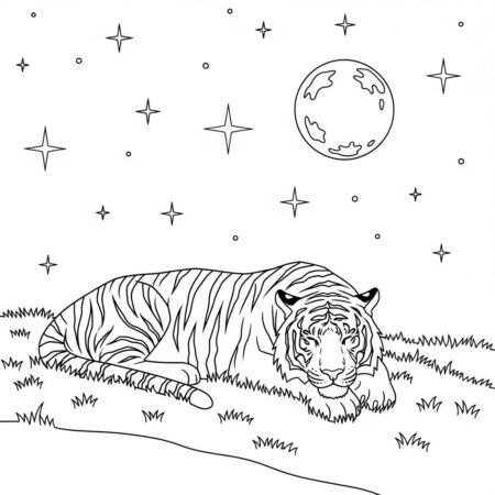 Tigre e Estrelas (Desenho para Colorir)